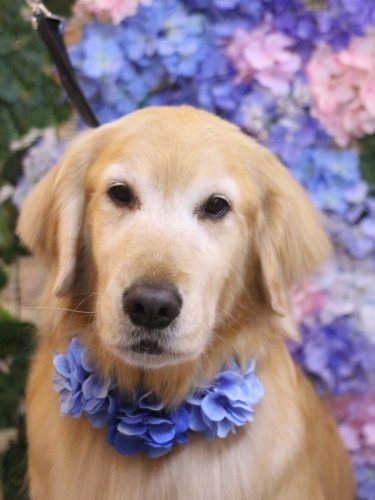 20250617アネラちゃん